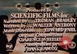 Standbild amerikanischen Frauen arbeiten in Zweiten Weltkrieg United States USA, 1943, aus Sekunde 24 historischem Filmmaterial Videoclip 65675051577
