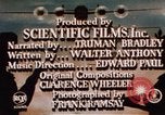 Standbild amerikanischen Frauen arbeiten in Zweiten Weltkrieg United States USA, 1943, aus Sekunde 30 historischem Filmmaterial Videoclip 65675051577