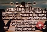 Standbild amerikanischen Frauen arbeiten in Zweiten Weltkrieg United States USA, 1943, aus Sekunde 31 historischem Filmmaterial Videoclip 65675051577