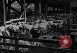 Image des dommages de bol de poussière United States USA, 1934, de la seconde 18 séquences d'archives historiques vidéo 65675051589