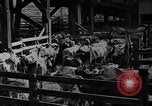 Image des dommages de bol de poussière United States USA, 1934, de la seconde 19 séquences d'archives historiques vidéo 65675051589