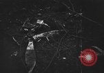 Image of Helsinki Finland bombed by Soviet Union 1939 Helsinki Finland, 1939, second 49 stock footage video 65675051605
