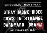 Image of simian Saint Charles Illinois USA, 1937, second 3 stock footage video 65675051615