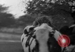 Image of simian Saint Charles Illinois USA, 1937, second 11 stock footage video 65675051615