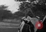 Image of simian Saint Charles Illinois USA, 1937, second 14 stock footage video 65675051615