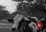 Image of simian Saint Charles Illinois USA, 1937, second 17 stock footage video 65675051615