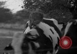 Image of simian Saint Charles Illinois USA, 1937, second 20 stock footage video 65675051615