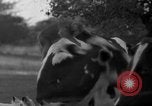 Image of simian Saint Charles Illinois USA, 1937, second 22 stock footage video 65675051615