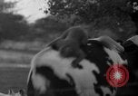 Image of simian Saint Charles Illinois USA, 1937, second 23 stock footage video 65675051615