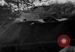 Image of simian Saint Charles Illinois USA, 1937, second 39 stock footage video 65675051615