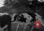 Image of simian Saint Charles Illinois USA, 1937, second 40 stock footage video 65675051615