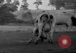 Image of simian Saint Charles Illinois USA, 1937, second 53 stock footage video 65675051615