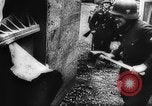 Image of German blitzkrieg in Europe Europe, 1941, second 17 stock footage video 65675051620