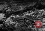 Image of Soviet forces resist German invasion Eastern Front, 1944, second 38 stock footage video 65675051621