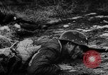 Image of Soviet forces resist German invasion Eastern Front, 1944, second 40 stock footage video 65675051621