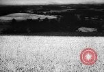 Image of economic development soon after end of World War II Europe, 1945, second 58 stock footage video 65675051623