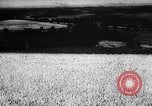 Image of economic development soon after end of World War II Europe, 1945, second 59 stock footage video 65675051623