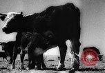 Image of economic development soon after end of World War II Europe, 1945, second 61 stock footage video 65675051623