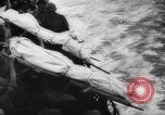 Image of World War II Europe, 1945, second 36 stock footage video 65675051625