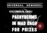 Image of elephant race Columbus Ohio USA, 1935, second 1 stock footage video 65675051628