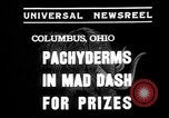 Image of elephant race Columbus Ohio USA, 1935, second 3 stock footage video 65675051628