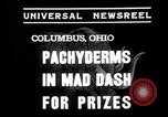 Image of elephant race Columbus Ohio USA, 1935, second 4 stock footage video 65675051628