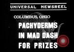 Image of elephant race Columbus Ohio USA, 1935, second 7 stock footage video 65675051628