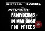 Image of elephant race Columbus Ohio USA, 1935, second 8 stock footage video 65675051628