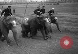 Image of elephant race Columbus Ohio USA, 1935, second 9 stock footage video 65675051628