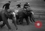Image of elephant race Columbus Ohio USA, 1935, second 10 stock footage video 65675051628