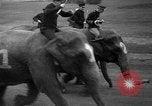 Image of elephant race Columbus Ohio USA, 1935, second 11 stock footage video 65675051628