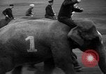 Image of elephant race Columbus Ohio USA, 1935, second 12 stock footage video 65675051628