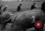 Image of elephant race Columbus Ohio USA, 1935, second 13 stock footage video 65675051628