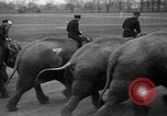 Image of elephant race Columbus Ohio USA, 1935, second 14 stock footage video 65675051628