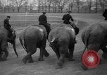 Image of elephant race Columbus Ohio USA, 1935, second 15 stock footage video 65675051628