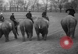 Image of elephant race Columbus Ohio USA, 1935, second 16 stock footage video 65675051628