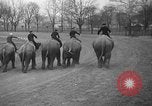 Image of elephant race Columbus Ohio USA, 1935, second 18 stock footage video 65675051628