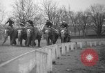 Image of elephant race Columbus Ohio USA, 1935, second 19 stock footage video 65675051628
