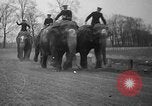 Image of elephant race Columbus Ohio USA, 1935, second 23 stock footage video 65675051628