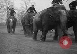 Image of elephant race Columbus Ohio USA, 1935, second 24 stock footage video 65675051628
