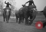 Image of elephant race Columbus Ohio USA, 1935, second 25 stock footage video 65675051628