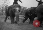 Image of elephant race Columbus Ohio USA, 1935, second 26 stock footage video 65675051628