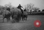 Image of elephant race Columbus Ohio USA, 1935, second 27 stock footage video 65675051628