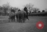 Image of elephant race Columbus Ohio USA, 1935, second 28 stock footage video 65675051628