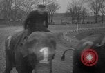Image of elephant race Columbus Ohio USA, 1935, second 31 stock footage video 65675051628