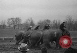 Image of elephant race Columbus Ohio USA, 1935, second 32 stock footage video 65675051628