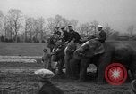 Image of elephant race Columbus Ohio USA, 1935, second 38 stock footage video 65675051628
