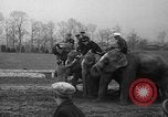 Image of elephant race Columbus Ohio USA, 1935, second 39 stock footage video 65675051628