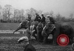 Image of elephant race Columbus Ohio USA, 1935, second 41 stock footage video 65675051628