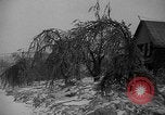 Image of damage from sleet Duluth Minnesota USA, 1935, second 12 stock footage video 65675051631